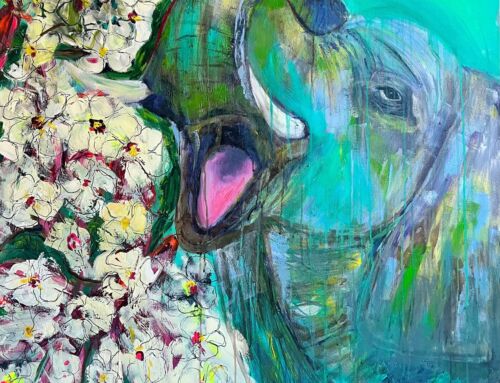 Having fun- Babyelephant