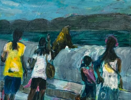 Süd Afrika Impressionen III